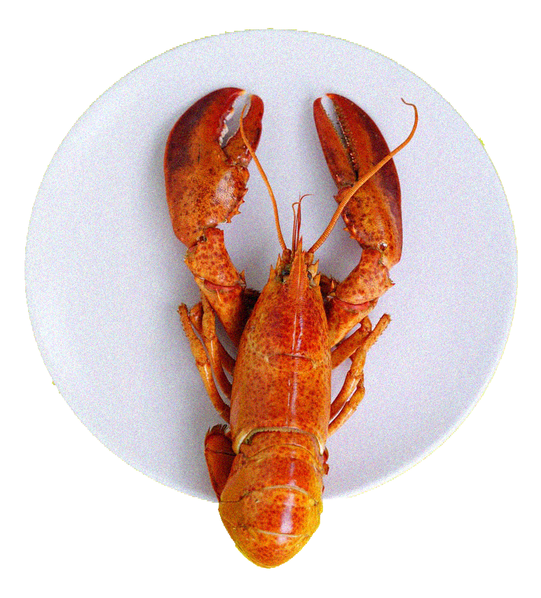 lobster-ankarsmedjan-social-webb